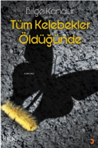 Tüm Kelebekler Öldüğünde - Kitapiks.com