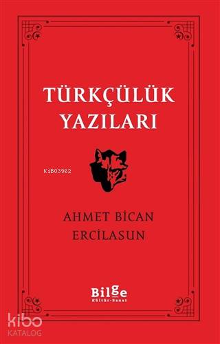 Türkçülük Yazıları - Kitapiks.com