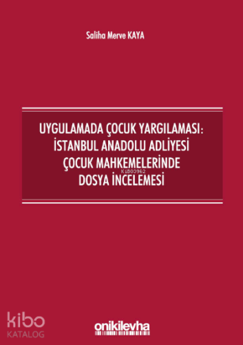 Uygulamada Çocuk Yargılaması: İstanbul Anadolu Adliyesi Çocuk Mahkemel