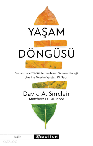 Yaşam Döngüsü ;Yaşlanmanın Sebepleri ve Nasıl Önlenebileceği Üzerine D
